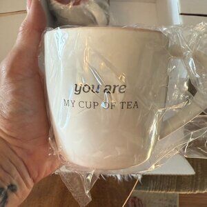 Set of 3 cabi coffee mugs